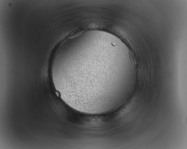 X0000089360443200706291044