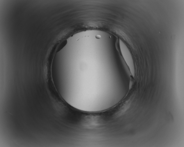 X0000089360444200706291044