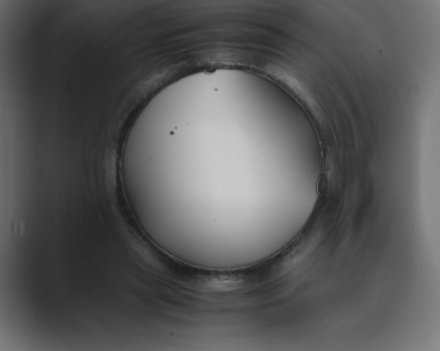 X0000089360445200706291044