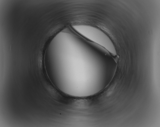 X0000089360446200706291045