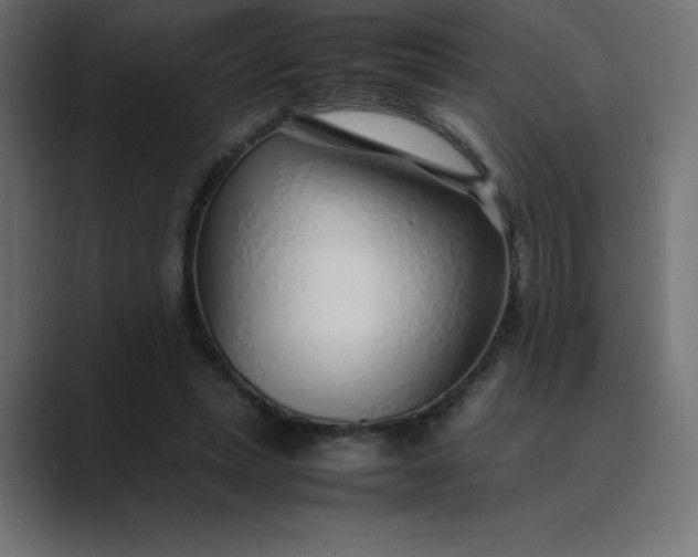 X0000089360447200706291045