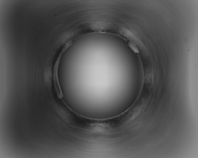 X0000089360448200706291045