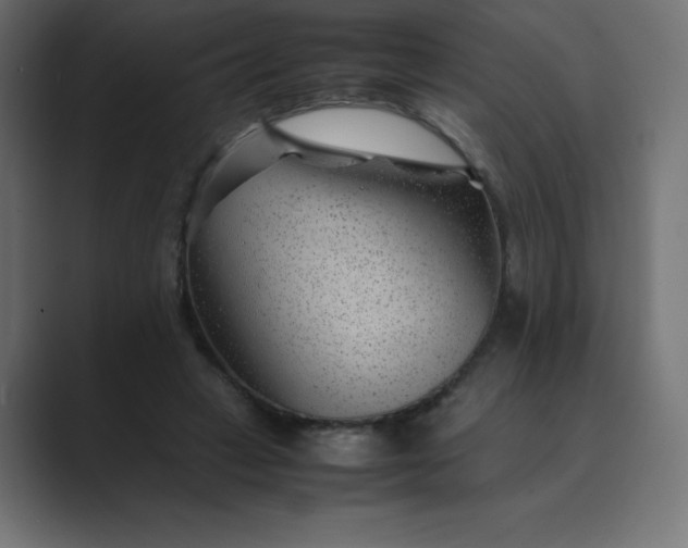 X0000089360449200706291045