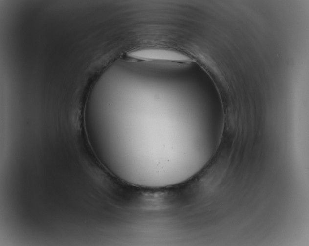 X0000089360450200706291045