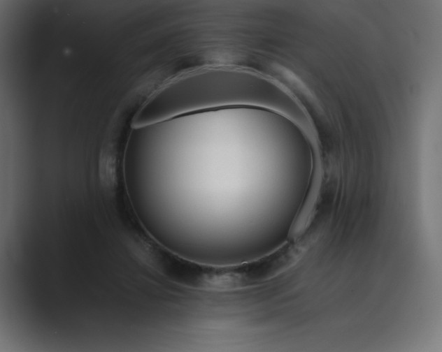 X0000089360452200706291045