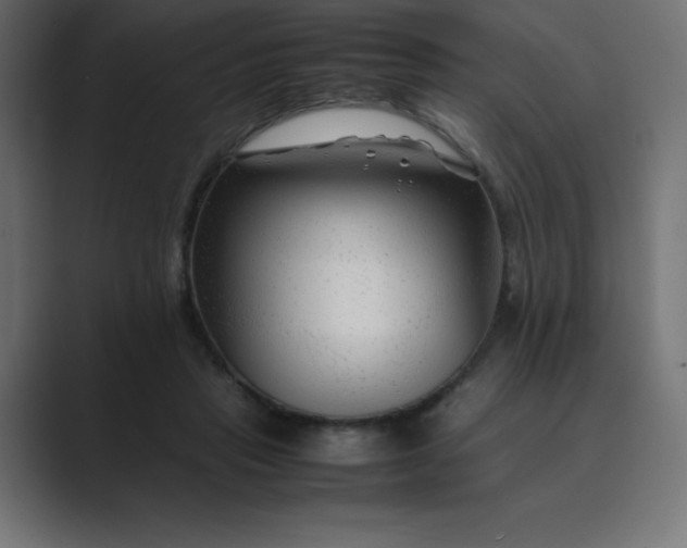 X0000089360453200706291045