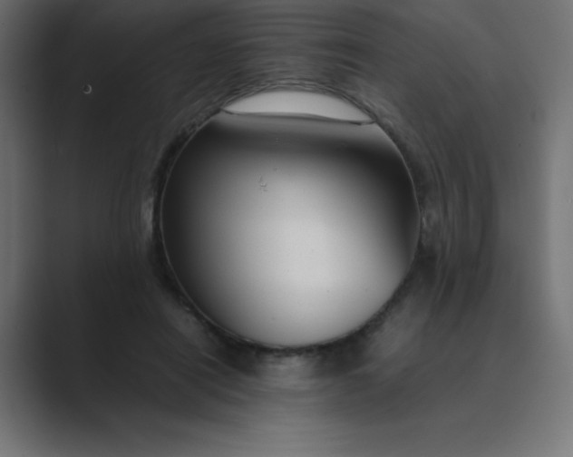 X0000089360454200706291045