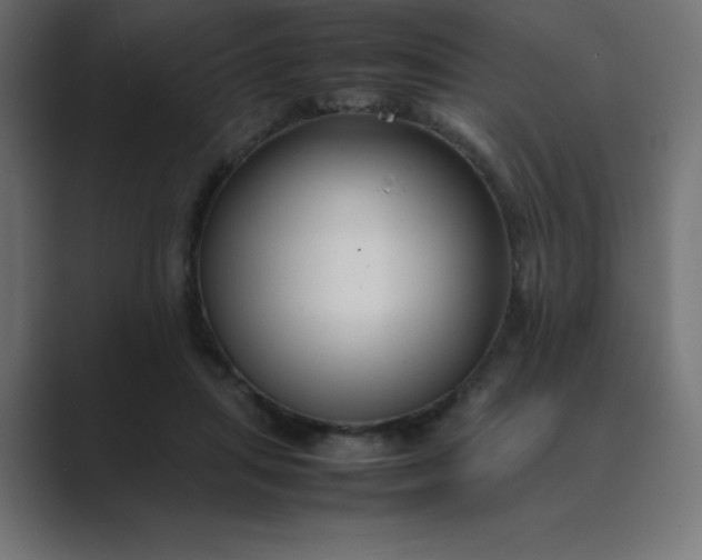 X0000089360455200706291045