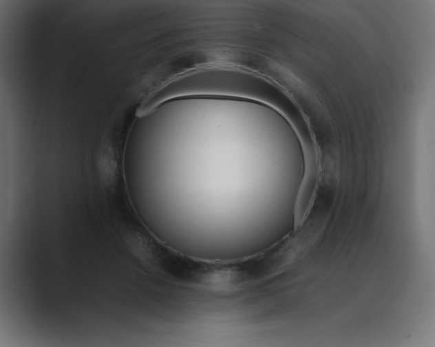 X0000089360456200706291045