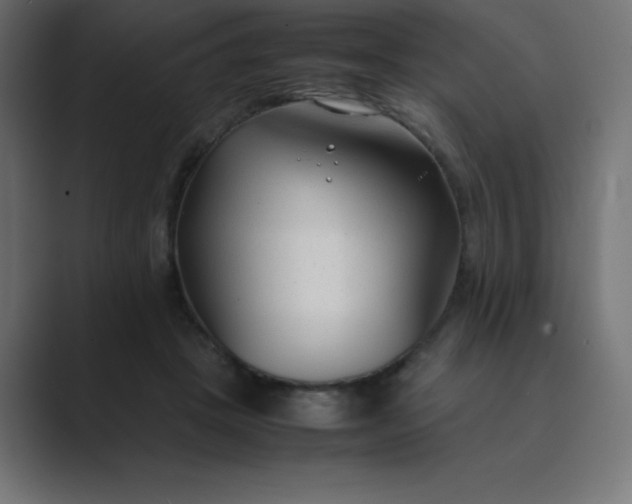 X0000089360457200706291045