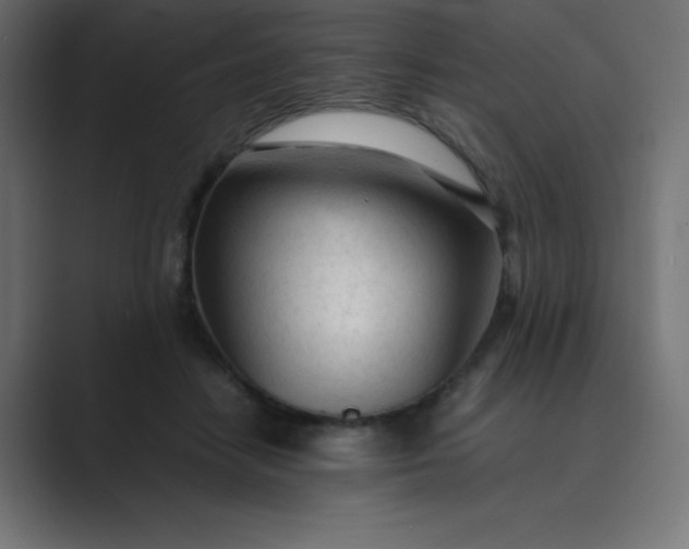 X0000089360458200706291045