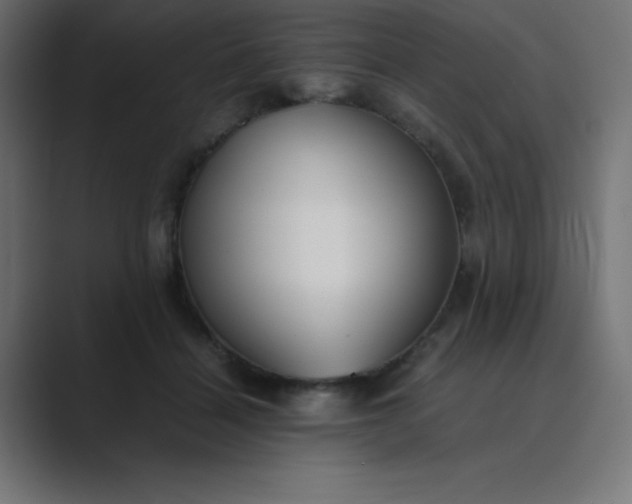 X0000089360460200706291045