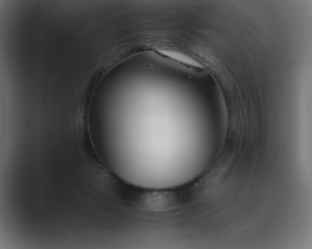 X0000089360461200706291045