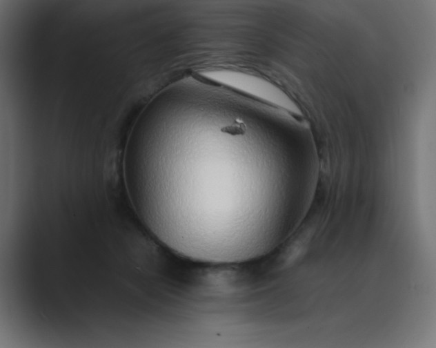 X0000089360462200706291045