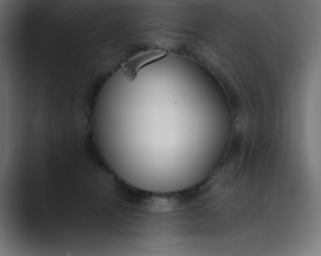 X0000089360464200706291045