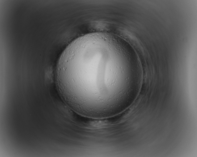 X0000089360465200706291045