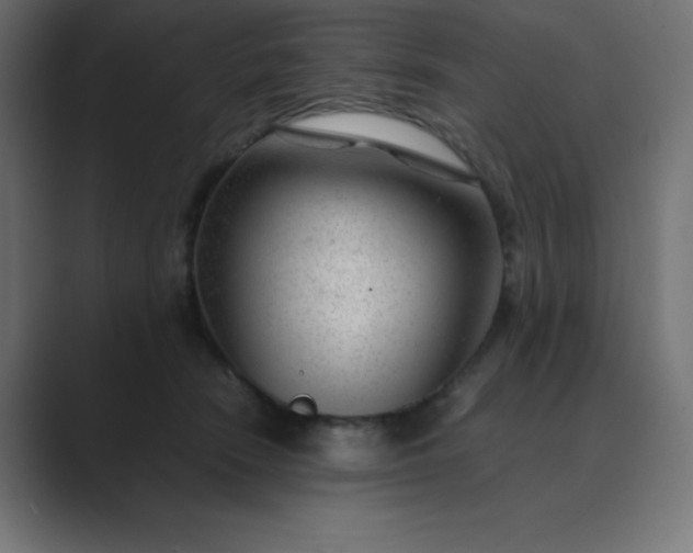 X0000089360466200706291045