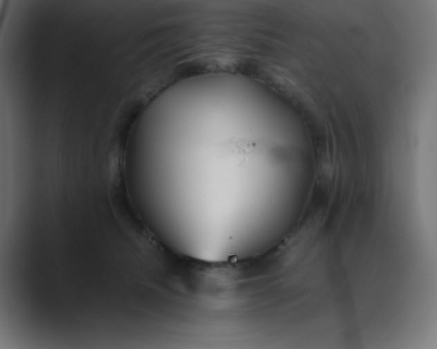 X0000089360468200706291045