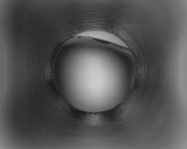 X0000089360469200706291045