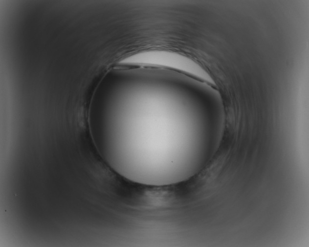 X0000089360470200706291045