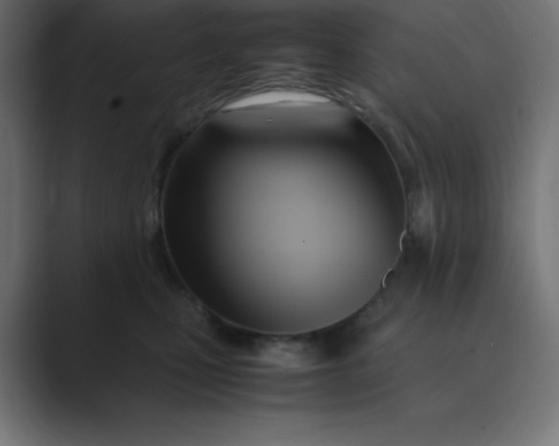 X0000089360471200706291045