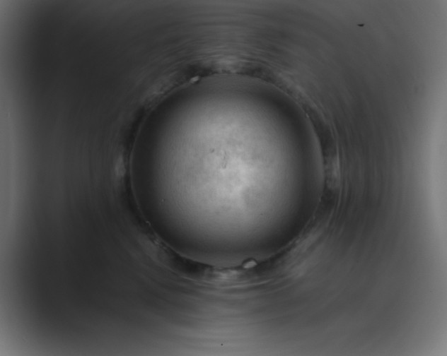 X0000089360472200706291045