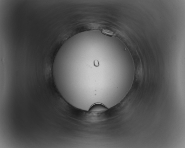 X0000089360473200706291045