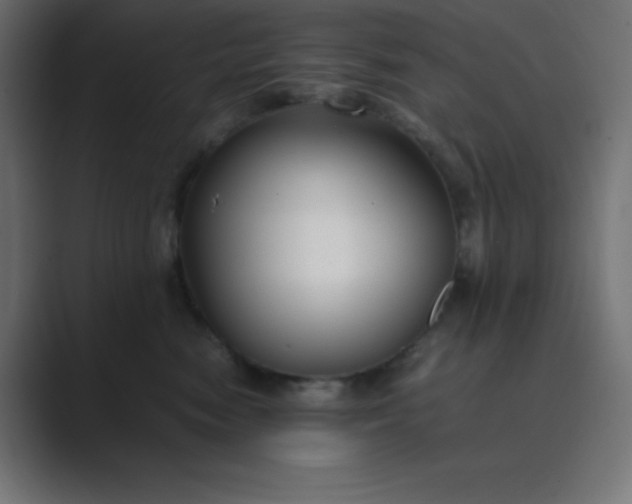 X0000089360474200706291045