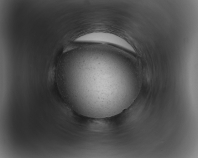 X0000089360475200706291045