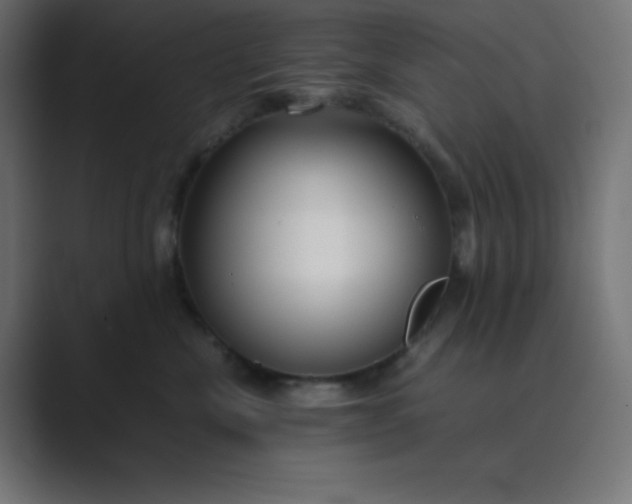 X0000089360476200706291045