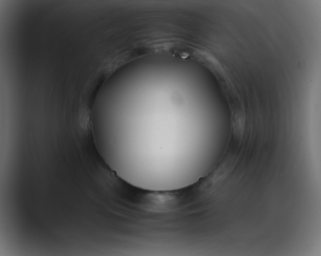 X0000089360477200706291045