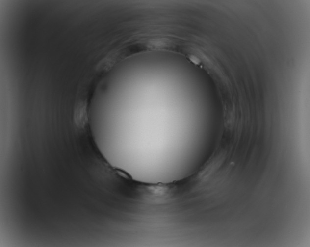 X0000089360478200706291045