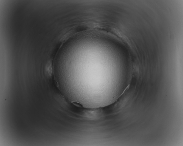 X0000089360479200706291045