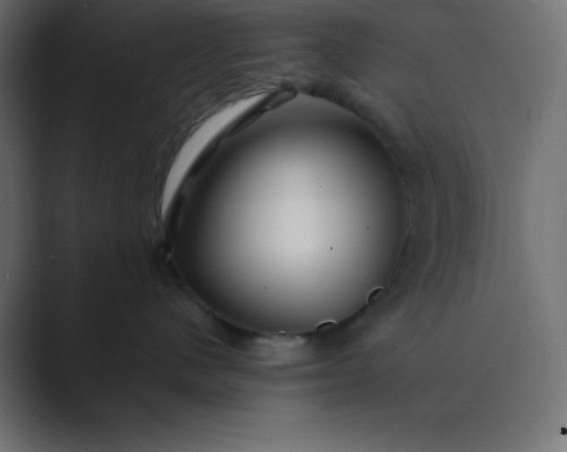 X0000089360480200706291045