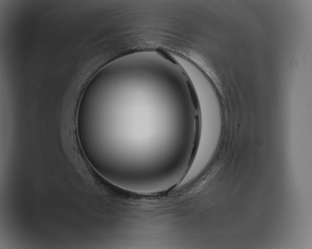 X0000089360481200706291044