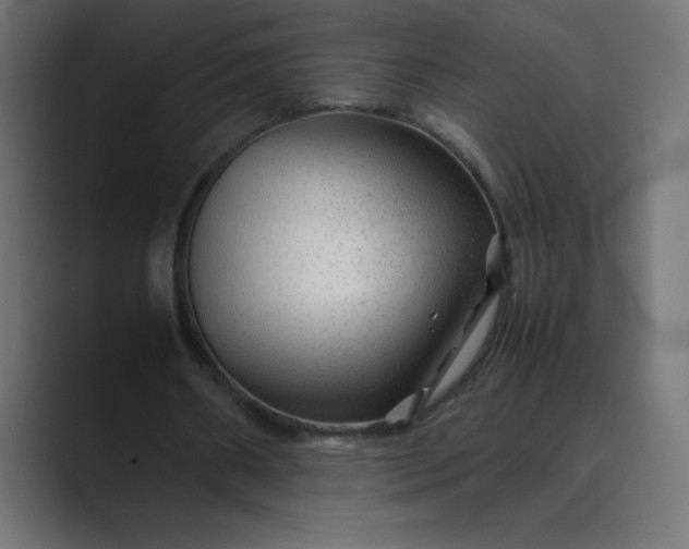 X0000089360482200706291044