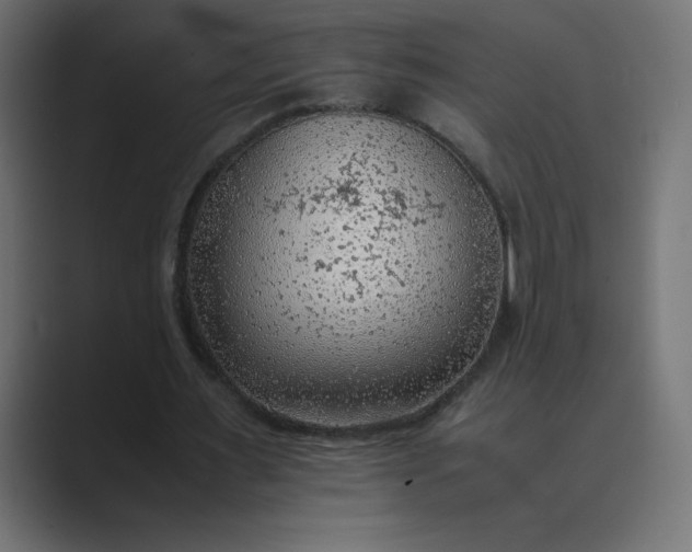 X0000089360483200706291044