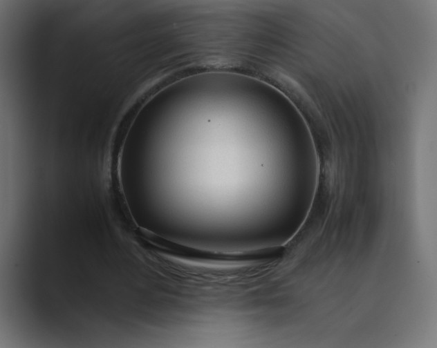 X0000089360484200706291044