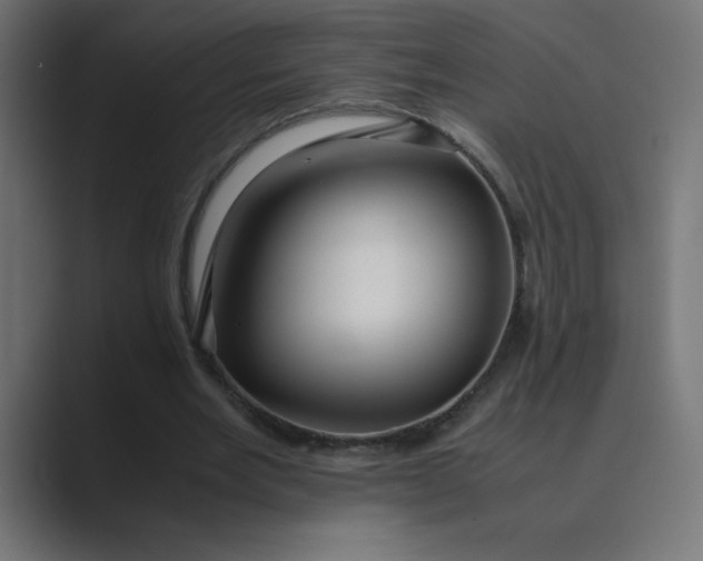 X0000089360485200706291044