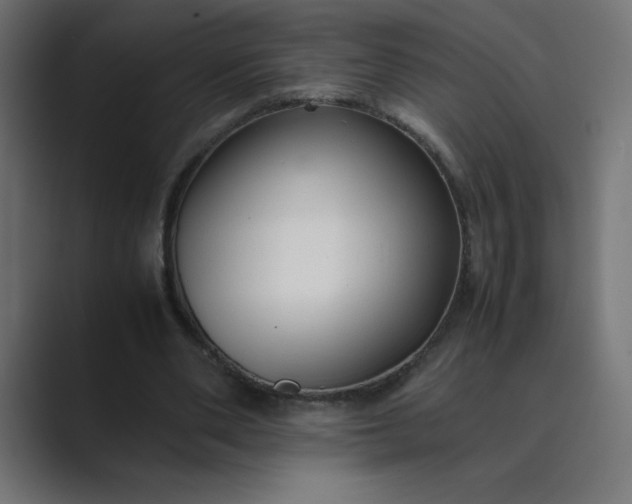 X0000089360486200706291044