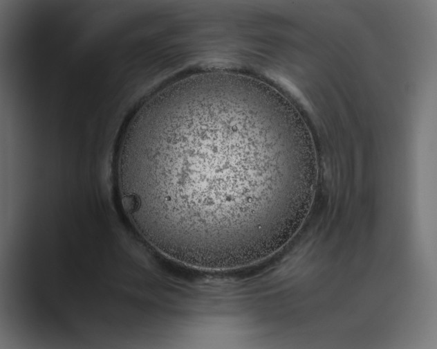 X0000089360487200706291044