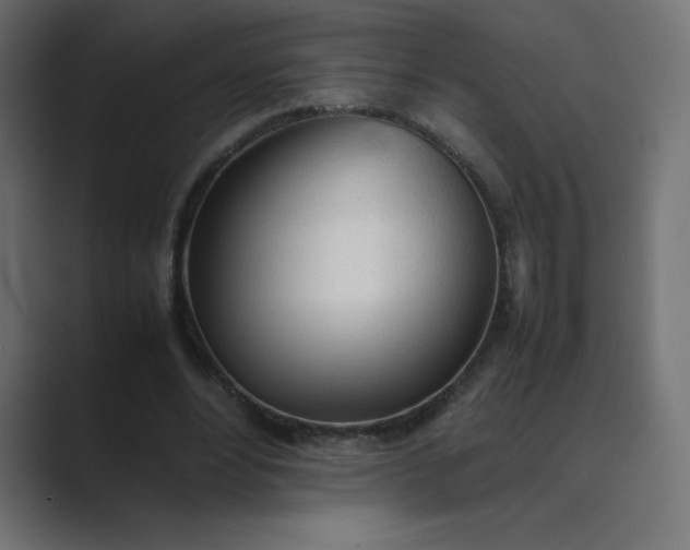 X0000089360488200706291044