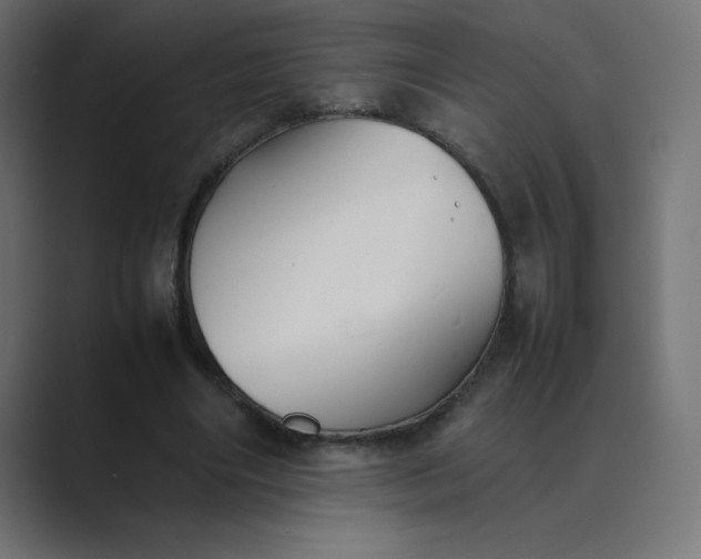 X0000089360490200706291044