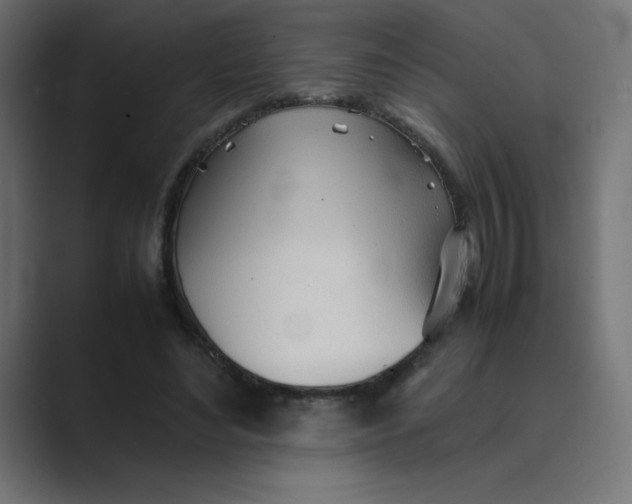 X0000089360492200706291044