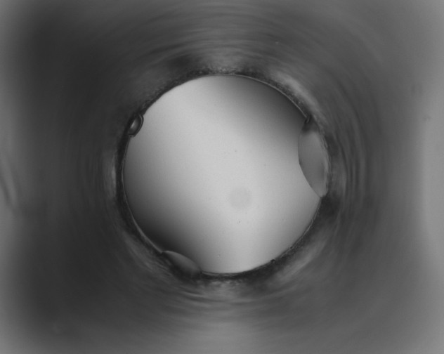 X0000089360493200706291044