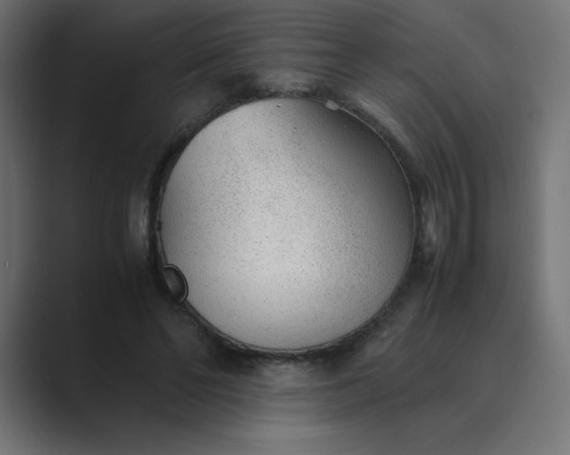 X0000089360494200706291044