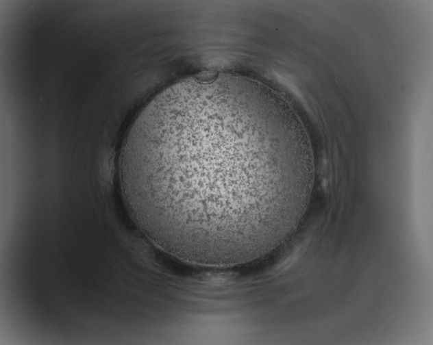 X0000089360495200706291044