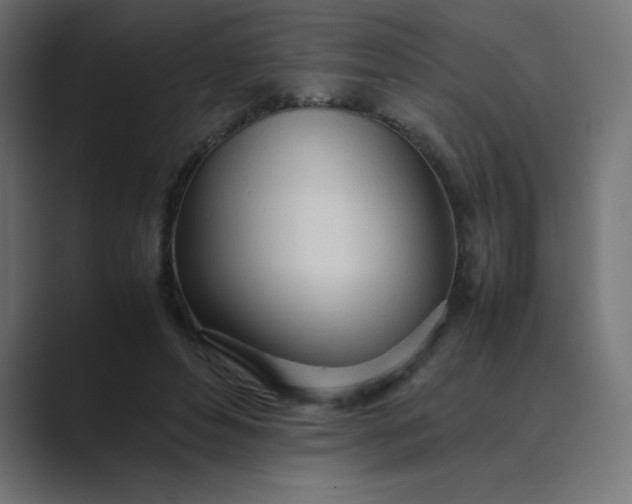 X0000089360496200706291044