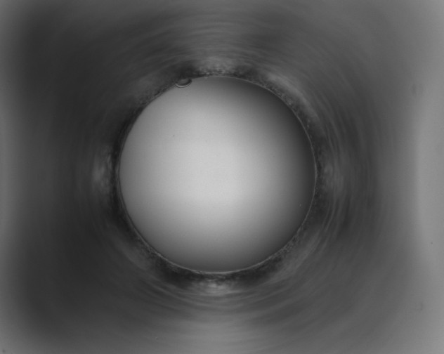 X0000089360498200706291044