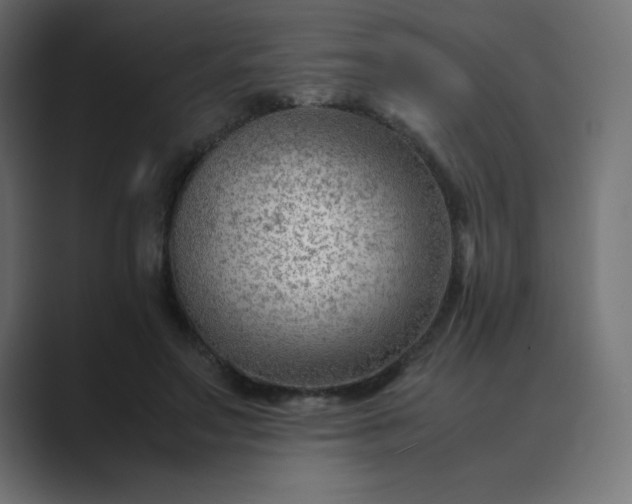 X0000089360499200706291044